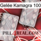 Gelée Kamagra 100 17